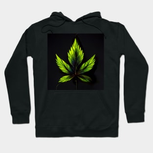 pot leaf hawaiian polkadot pattern Hoodie